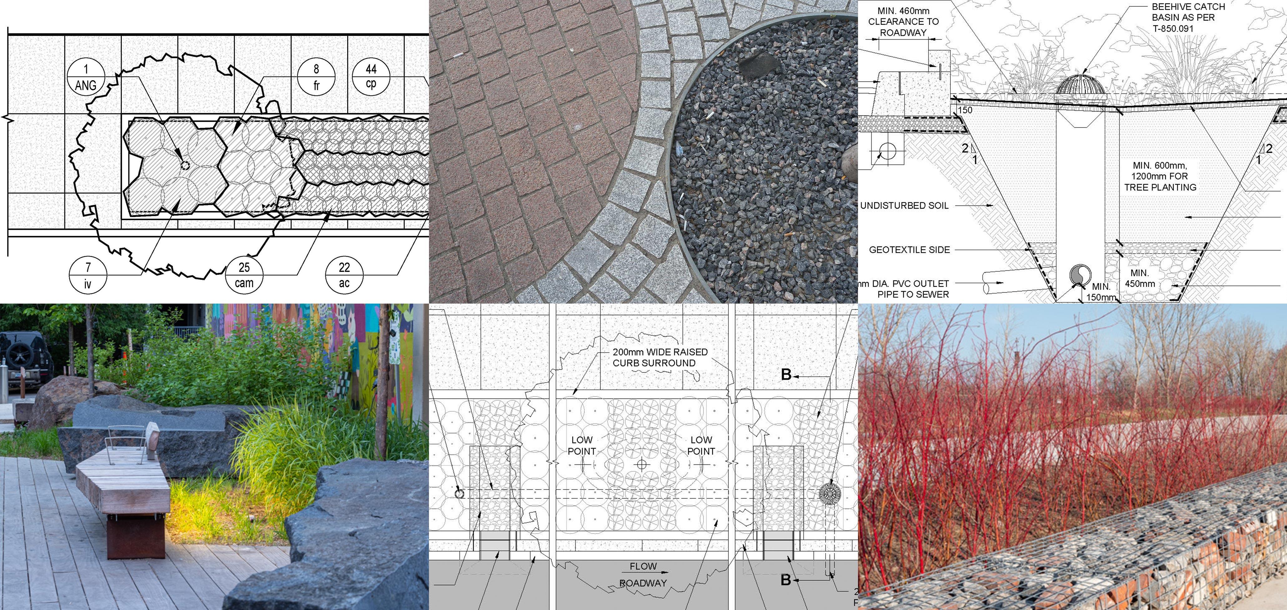 City Of Toronto Green Infrastructure Standards Published DTAH   Green Infrastructure 