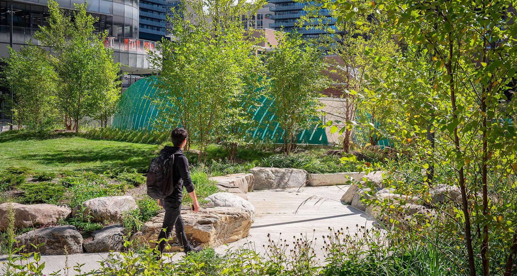 Dr. Lillian McGregor Park. Photo by Scott Norsworthy